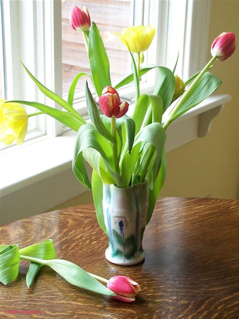 stunning single flower glass vase decorative vase ideas