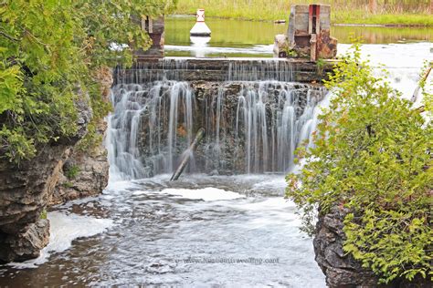 rockwood conservation area  ontario  honey   park