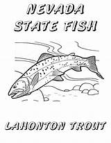 Trout Coloring Pages Getdrawings sketch template