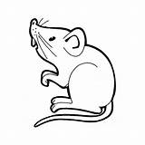 Souris Coloriage Imprimer Rat Coloring Dessiner Dessin Animal Rats Mouse Pages Colorier Drawing Cartoon Animals Dessins Gratuit Ligne Printable Line sketch template