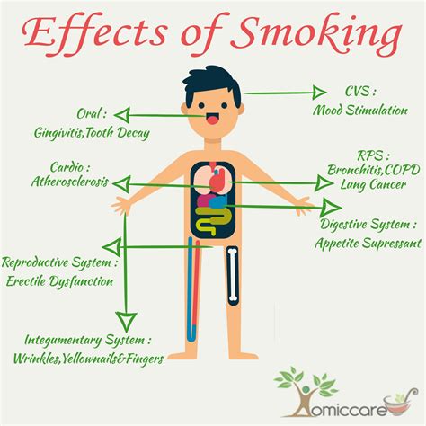 Smoking And It S Effect On Human Body Homiccare