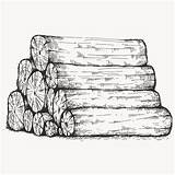 Wood Sketch Log Vector Premium Piled sketch template