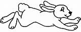 Coloring Rabbit Jack Drawing Jackrabbit Drawings 4kb 375px Getdrawings sketch template
