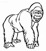 Gorilla Clipartmag sketch template