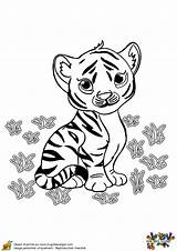 Tigre Bébé Hugolescargot Animaux Hugo Mignon Coloriages Ordinateur Dessins Jungle Enfant Depuis sketch template