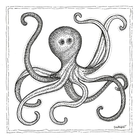 octopus drawing  stephanie troxell
