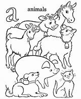 Coloring Farm Pages Animal Printable Animals Sheets Choose Board Kids Book Print sketch template
