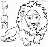 Coloring Lion Pages Preschoolers Print sketch template