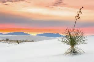 Sunset At White Sands National Monument Photograph By Ellie Teramoto