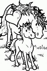 Coloring Baby Pages Horse Colouring Horses Mom Moody Judy Popular Coloringhome sketch template