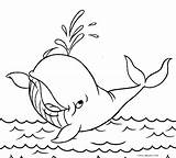 Coloring Whale Sperm Getcolorings sketch template