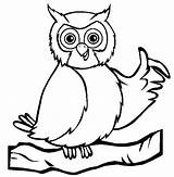 Owl Coloring Pages Kids Choose Board Cute sketch template