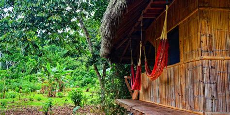 plan  epic family trip   amazon rainforest