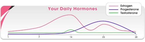 5 Shocking Myths About Your Hormones