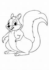 Squirrel Coloring Drawing Pages Parentune Print Child sketch template