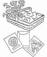 Coloring Pages Garden Sheets Seeds Spring Gardening Vegetable Kids Activity Planting Louisiana Plant Color Popular Sports Activities Comments Coloringhome sketch template