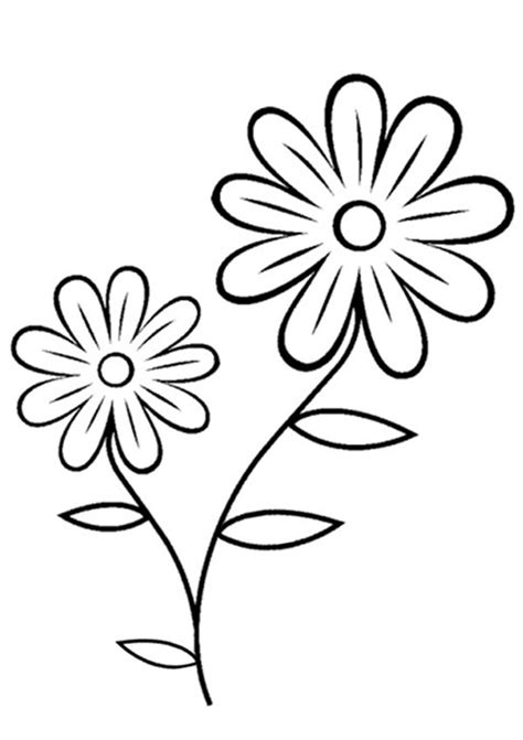 printable flowers pictures   cliparts  images