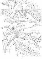 Coloring Pages Vogels Adult Birds Kleurplaten Kleurplaat Phoebe Bird Insects Etc Drawings Drawing Printable Books Kids Bw sketch template