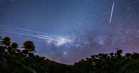 kereta satelit starlink  langit brasil apod indonesia