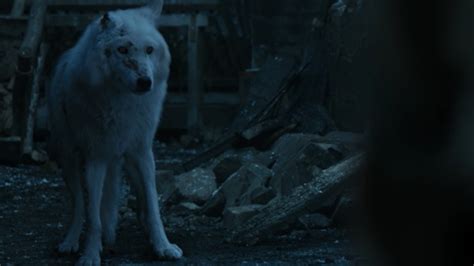 ghost was the only good part of the game of thrones
