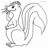 Skunk Stinktier Ausmalbilder Malvorlagen Drucken Cool2bkids sketch template
