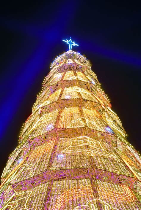 natal em lisboa unusual christmas trees christmas worldwide christmas   city