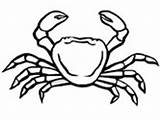 Coloring Crab Crabe Pages Coloriage Imprimer Crabs Gratuit Animals Ws sketch template
