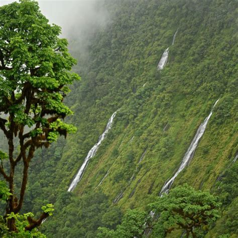 Fondo Verde Para El Clima Equatorial Guinea Reaffirms
