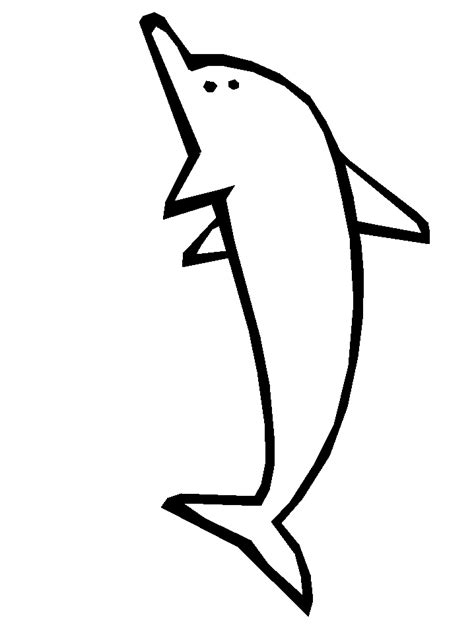 add color     dolphin colouring pages   print