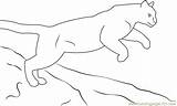 Panther Jumping Coloringpages101 Mammals sketch template
