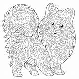 Pomeranian Zentangle Stylized Stilizzato Foo Sybirko Stylisé sketch template