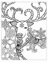 Coloring Pages Winter Wonderland Zendoodle Printable Sheets Books Adults Macmillan Christmas Getcolorings Barnes Indiebound Noble Powells Million Amazon Choose Board sketch template
