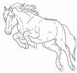 Horse Jumping Lineart Horses Deviantart Drawing Coloring Pages Drawings Cute Line Choose Board Explore sketch template
