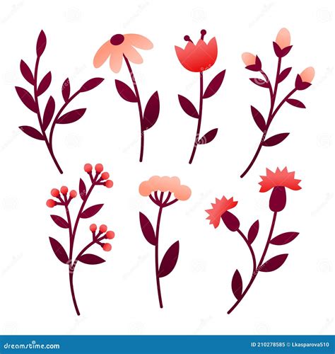 set  flower elements stock vector illustration  design