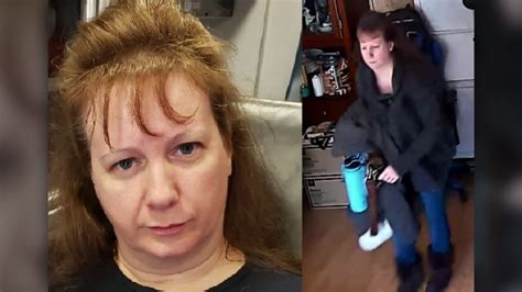 police search for missing ottawa woman last seen in bayshore ctv news