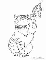 Coloring Cat Pages Fluffy Cute Online Color Cats Chat Coloriage Qui Joue Animal sketch template