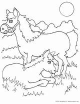 Coloring Horse Kinderart Print Pdf Size sketch template