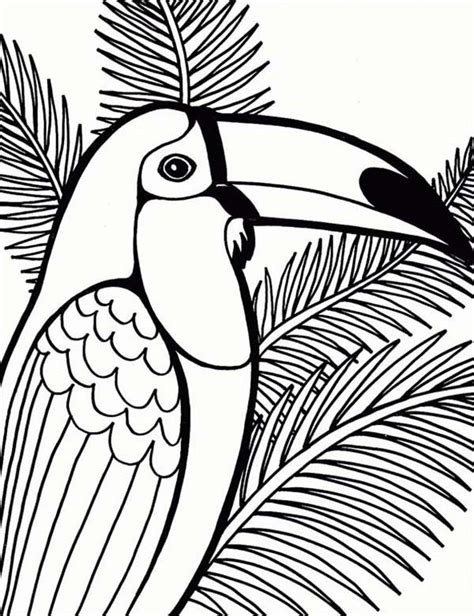 parrot  coconut tree coloring page farm animal coloring pages