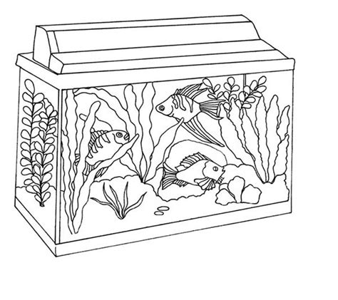 awesome fish tank coloring page netart