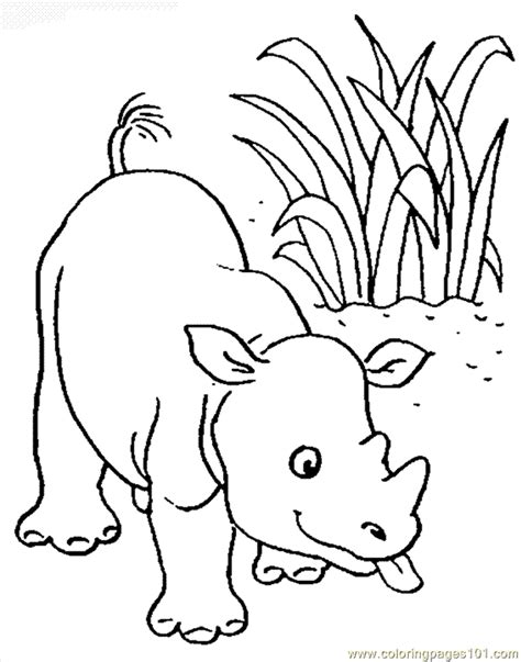 rhino coloring pages coloring home