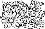 Daisies Daisy Margarita Schablonen Supercoloring Malen Sonnenblumen Adults Sweetest Erwachsenen Domain sketch template