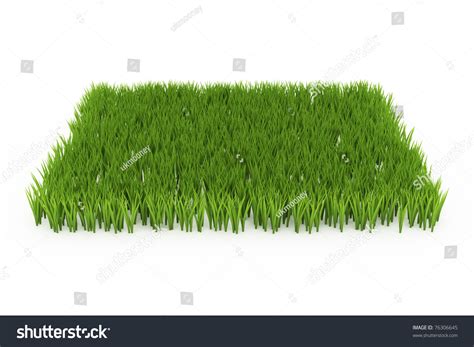 side view  green grass field background stock photo