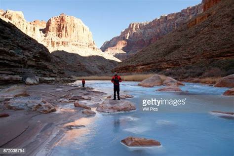 little desert national park bildbanksfoton och bilder getty images