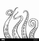 Octopus Tentacles Inhabitants Limbs sketch template
