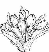 Tulip Tulips Tulipas Lalele Tulpe Colorat Tegninger Tulipany Tulipan Tulipaner Tulpen Flori Ausmalbilder Desene Supercoloring Colorir Ausmalbild Kolorowanka Tulipa Adults sketch template