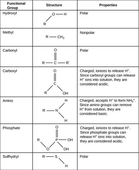 functional groups learning chemistry functional group biology