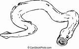 Lamprey Clipart Clip Fish Illustrations Eel Drawings sketch template