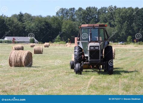 tractor  hay stock image image  agriculture feed