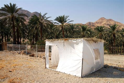 sukkot faq chosen people ministries sukkah booths wilderness