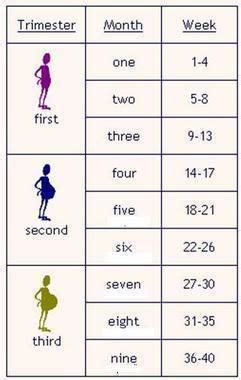 hot air  fantasy pregnancy months chart